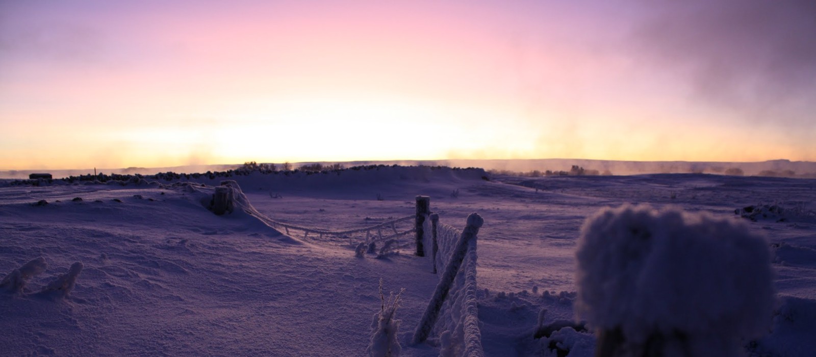 A frost-covered fence line at dawn under a purple and gold sky.